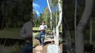 Liberty Ranch: Incredible Colorado Ranch for Sale with Magnificent Home
