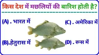 Important Gk Question And Answer | General Knowledge Wala Gk | Upsc Interesting Question | Gk Quiz |