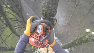 Baum kaputt, Zaun kaputt