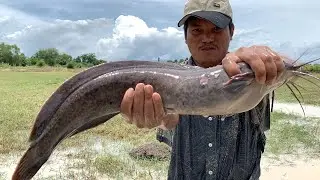Best Fishing 2022 - Unbelievable Founding & Catch Big Catfish By Hand In Mud