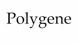 How to Pronounce Polygene
