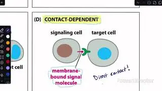 Types of Cell signaling 