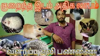 chinna room la ivaloo profits earn panna mudium aa // Rodent Verity farm Chennai