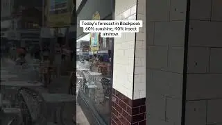 POV: Your Blackpool holiday turns into Bugpool 2025 #funny #blackpool #ukholidays #uk #filipinainuk