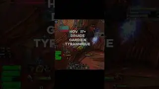 HOV 17 - DRUID GARDIAN TANK POV - DRAGONFLIGHT SAISON 1