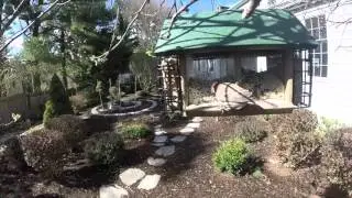 Birds of New Jersey