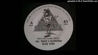PRIVATE FUNK-SHUN  'all that i wanted was you'  SOUTH ESSEX MANAGEMENT SERVICES 1986 (7')