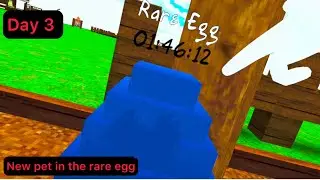 Bwah day 3: Trying to get the new owl pet (forgot to save again)
