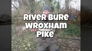 River Bure Wroxham Pike