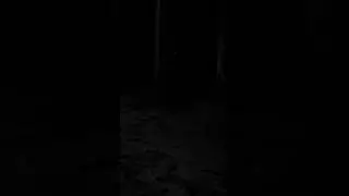 20211106 231143 1
