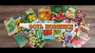 ОБЗОР семян овощей . Сезон  ВЕСНА 2022.