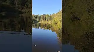 И снова в КинЧинО