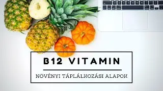 Növényi táplálkozási alapok: B12 Vitamin