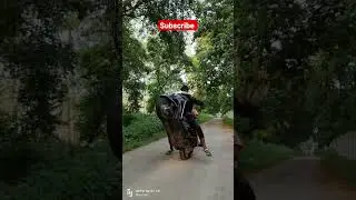 Habibi Activa Vili | Rider Prashant|#rider #activa #vilian#rider #shorts #short #shortvideo
