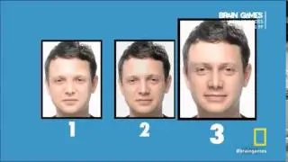 Brain Games- Beauty of Symmetry