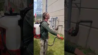 Backpack Sprayer with POWER!