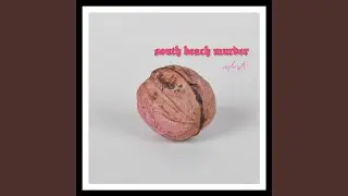 south beach murder