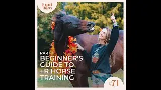 71. Beginner&rsquo;s Guide to +R Horse Training (Pt. 1)