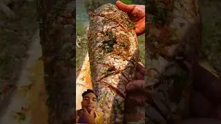 Grilling Fish in Bamboo  #GrillingFish #BambooCooking #TraditionalCooking #fishcutting #campfire