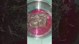 [ASMR] Very pretty suds!