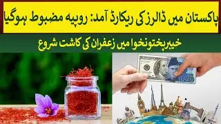 Record Dollars inflow  in Pakistan makes Rupee stronger & Saffron cultivation in KPK | Rich Pakistan