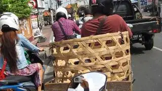 Bali Traffic
