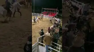 2022 Miles City Bucking Horse Sale