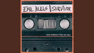Survivor