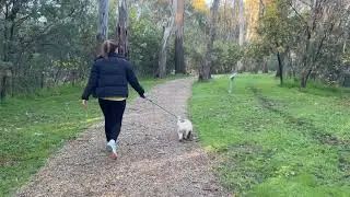 Tocumwal Mural Nature Walk