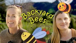 Backyard Bees Q&A | Expert Interview with Beekeeper Erin