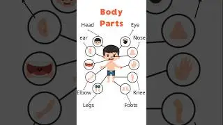 Learn  Body Parts for Kids || Fun Learning with Pictures #learnbodyparts  #kidsvideos   #bodyparts