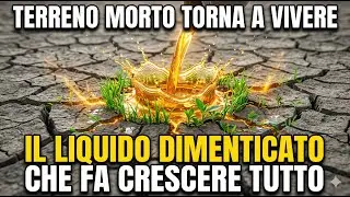 Questo Antico Liquido Fa Rinascere Il Terreno Morto All’Istante – Senza Bisogno Di Fertilizzanti!
