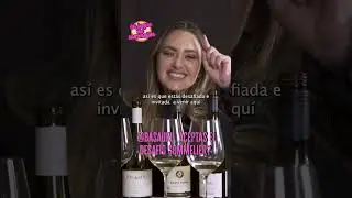 Daniela Nicol&aacute;s Desaf&iacute;a a Bego&ntilde;a Basauri para que venga a Los juegos del sommelier y supere su  ⭐️