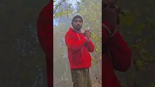 One Day Shoot 🎥 in Sonbhadra Jungle  || #shorts #travel #cinematic