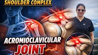 Acromioclavicular joint anatomy (shoulder complex) part 2 by smriti bhatia