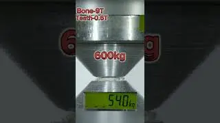 Human teeth and bone in hydraulic press #facts #shorts