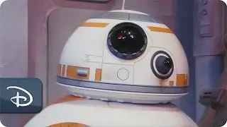 BB-8 Greets Guests at Disney&rsquo;s Hollywood Studios | Walt Disney World