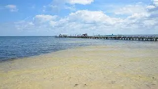 The Best of Old Florida : Bokeelia (Pine Island)