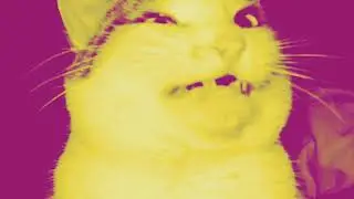 CRAB RAVE MASSIVE EAR RAPE