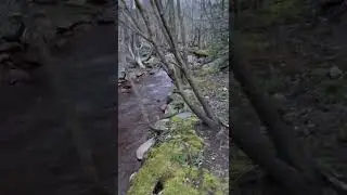Rennies Mill River St. John&rsquo;s NL Canada