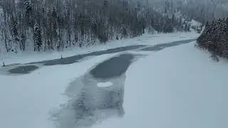 Шаори зима 2026, Грузия