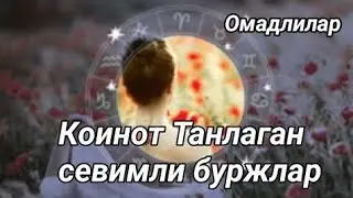 Коинот Танлаган севимли буржлар. Омадлилар.