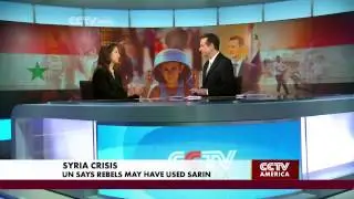 Hillary Mann Leverett Discusses the Conflict in Syria