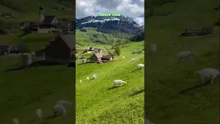 Beautiful nature love📍follow for daily nature content📍 #travel #nature #pakistan #swiss #shorts