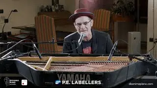 DisanimaPiano.com - Francesco Baccini, piano e voce