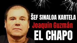 El Čapo - ko je bio ŠEF SINALOA KARTELA