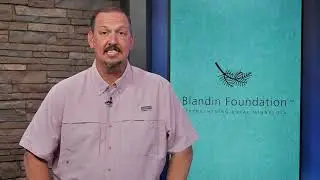 Community Matters - Blandin Foundation