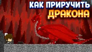 КАК ПРИРУЧИТЬ ДРАКОНА ( Aground )