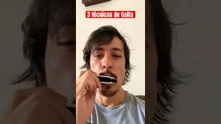T&eacute;cnicas que todo gaitista precisa saber🔺