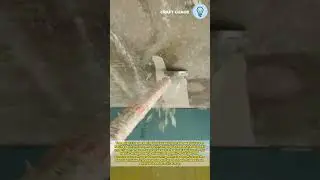 The process of gardening tool removing paint wall and putty